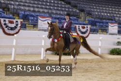 25R1516_05253 thumbnail