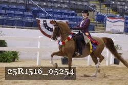 25R1516_05254 thumbnail
