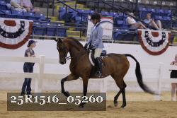 25R1516_05260 thumbnail