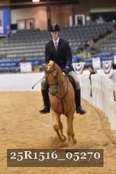 25R1516_05270 thumbnail