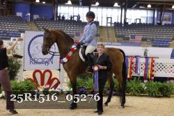 25R1516_05276 thumbnail