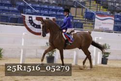 25R1516_05279 thumbnail