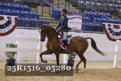 25R1516_05280 thumbnail