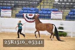25R1516_05341 thumbnail