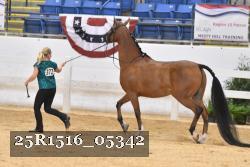 25R1516_05342 thumbnail