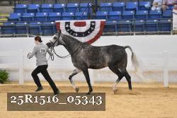 25R1516_05343 thumbnail