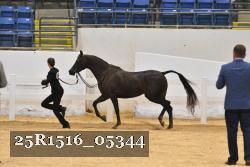 25R1516_05344 thumbnail