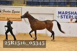 25R1516_05345 thumbnail
