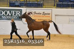 25R1516_05346 thumbnail