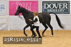 25R1516_05347 thumbnail
