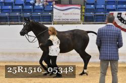 25R1516_05348 thumbnail