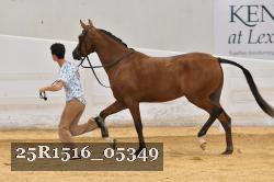 25R1516_05349 thumbnail