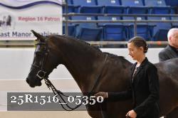 25R1516_05350 thumbnail