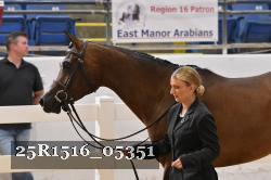 25R1516_05351 thumbnail