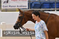 25R1516_05352 thumbnail