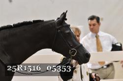 25R1516_05353 thumbnail