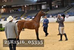 25R1516_05355 thumbnail