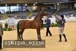 25R1516_05356 thumbnail