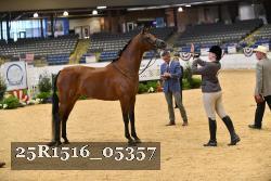 25R1516_05357 thumbnail