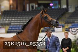 25R1516_05358 thumbnail