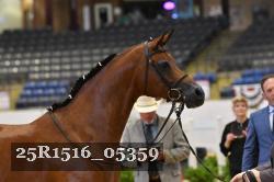 25R1516_05359 thumbnail