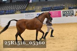 25R1516_05360 thumbnail