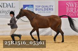 25R1516_05361 thumbnail