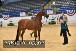 25R1516_05362 thumbnail