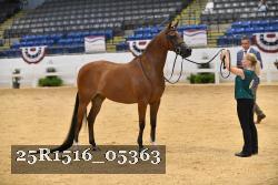 25R1516_05363 thumbnail