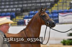25R1516_05364 thumbnail