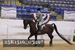 25R1516_05497 thumbnail