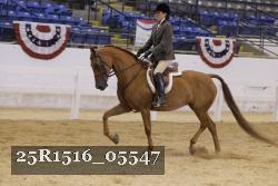 25R1516_05547 thumbnail