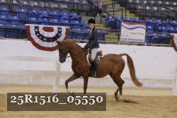 25R1516_05550 thumbnail