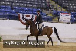 25R1516_05551 thumbnail
