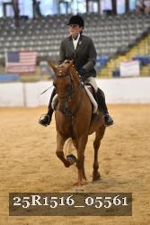 25R1516_05561 thumbnail