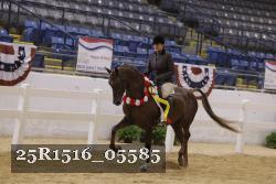 25R1516_05585 thumbnail