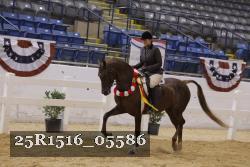 25R1516_05586 thumbnail