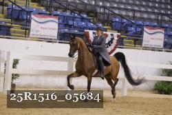 25R1516_05684 thumbnail