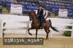 25R1516_05687 thumbnail