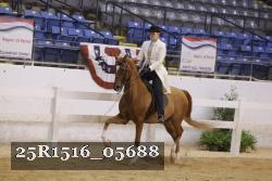 25R1516_05688 thumbnail
