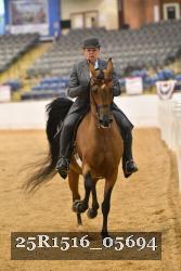 25R1516_05694 thumbnail