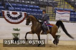 25R1516_05705 thumbnail
