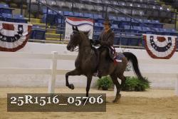 25R1516_05706 thumbnail