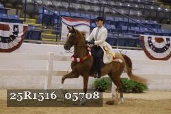 25R1516_05708 thumbnail