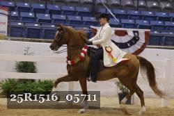 25R1516_05711 thumbnail