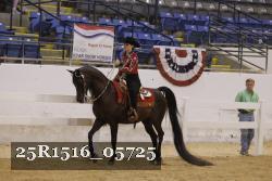 25R1516_05725 thumbnail