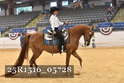 25R1516_05728 thumbnail