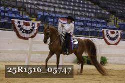 25R1516_05747 thumbnail