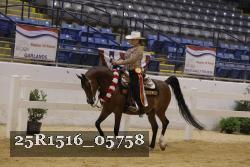 25R1516_05758 thumbnail