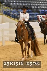 25R1516_05761 thumbnail